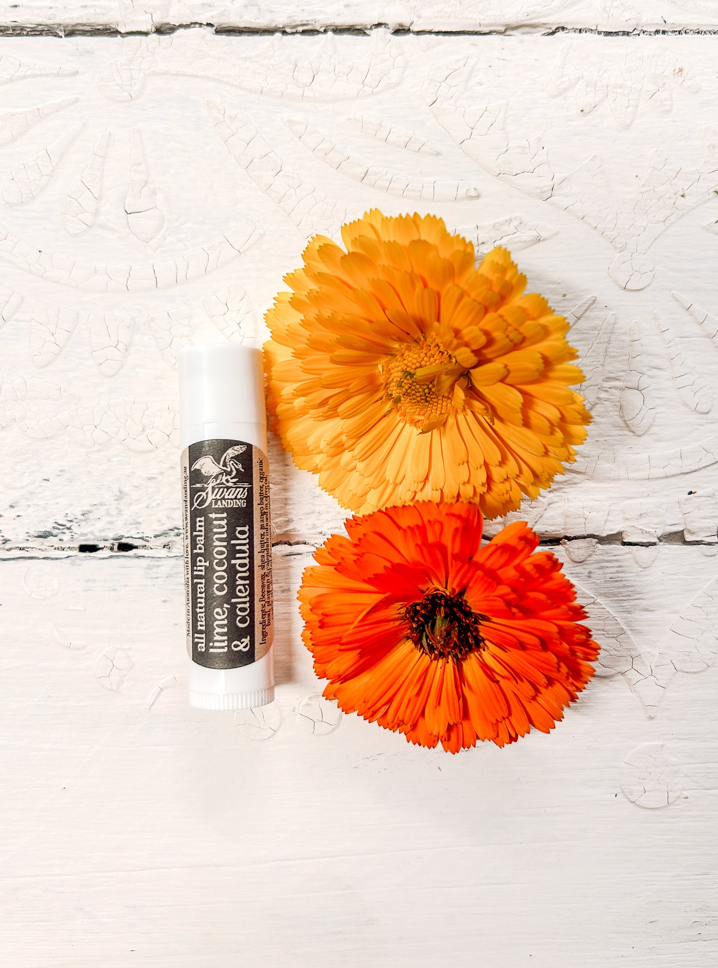 Lime, Coconut & Calendula Lip Balm